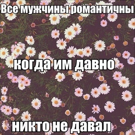 Картинки с надписями