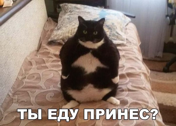 Небольшой микс картинок и гифок .