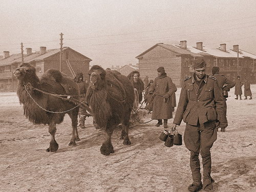 Наши.