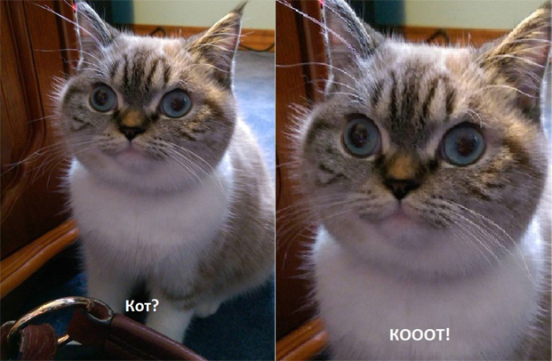 Фотограммы #да ты упоротый штоле? #немншк