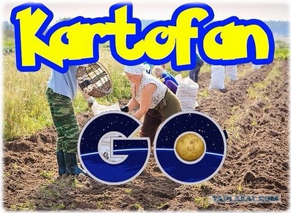 Всяко-разно из интернета