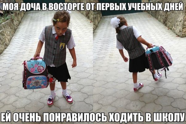 Картинки из сети