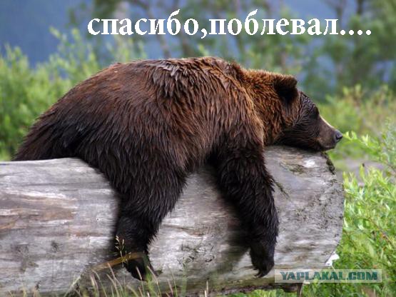 Девушка переборщила с ботексом и силиконом