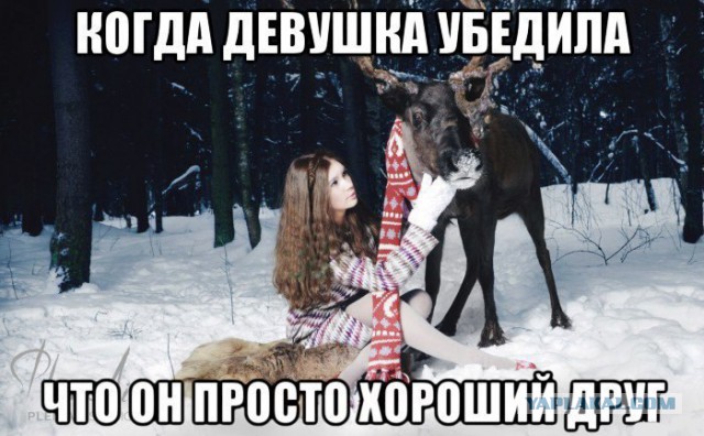 Юмор не для всех