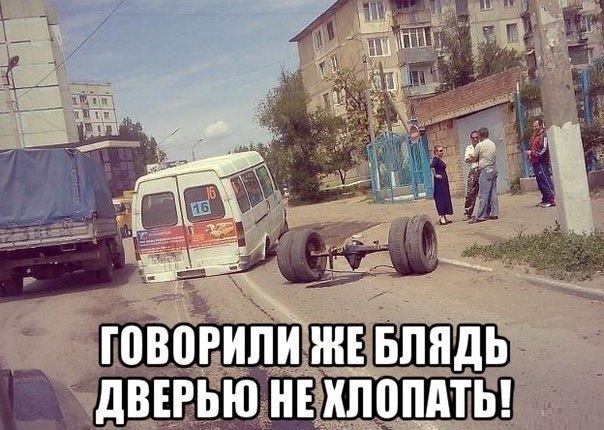 Подборка безудержного веселья