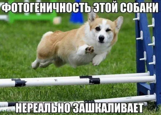 Всяко разное