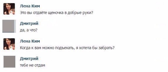 Пятничные ШутЯПки