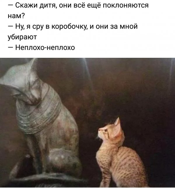 Нестандартный юмор