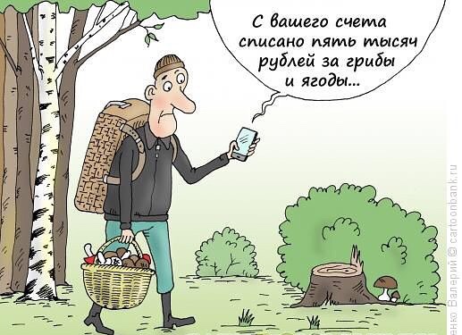 Ловись рыбка большая... маленькая не ловись