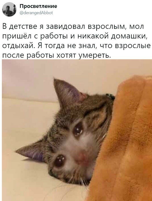 Немного картинок в эту пятницу