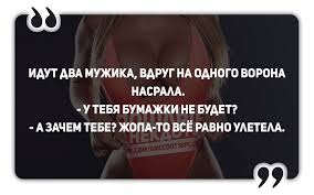 Туалеты мира