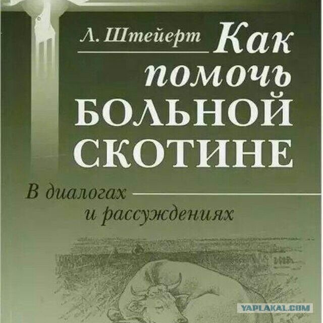 ДНР обратилась к России с просьбой о присоединении