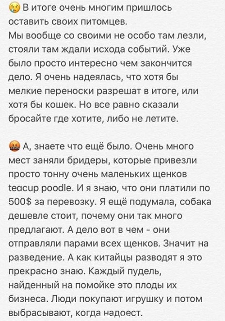 «Аэрофлот» продал билеты на вывозные рейсы из Китая пассажирам с животными. Но собак и кошек оставил в аэропорту