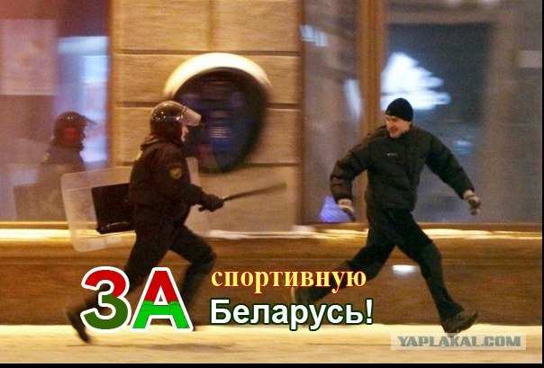 Фотожаба: Ну Погоди!