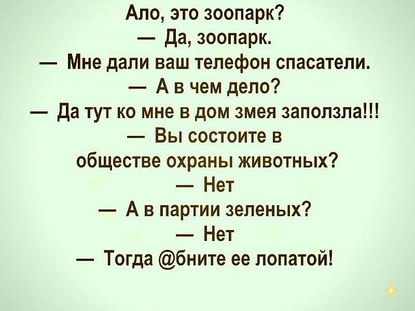 Фотки и картинки: юморные и красивые, забавные и милые 11.11.20