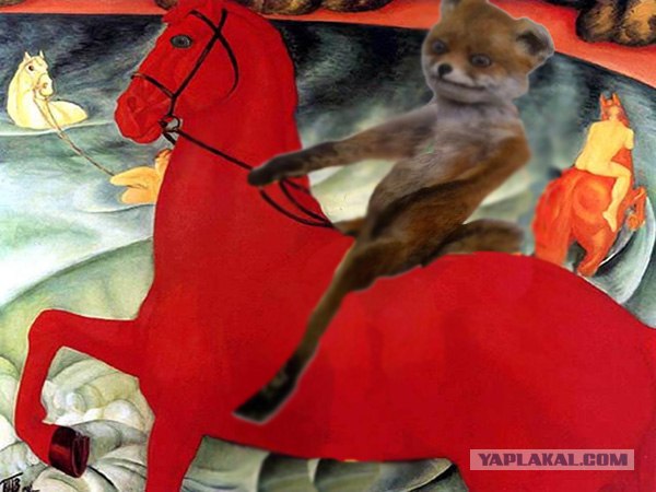 Таксидермия + наркомания