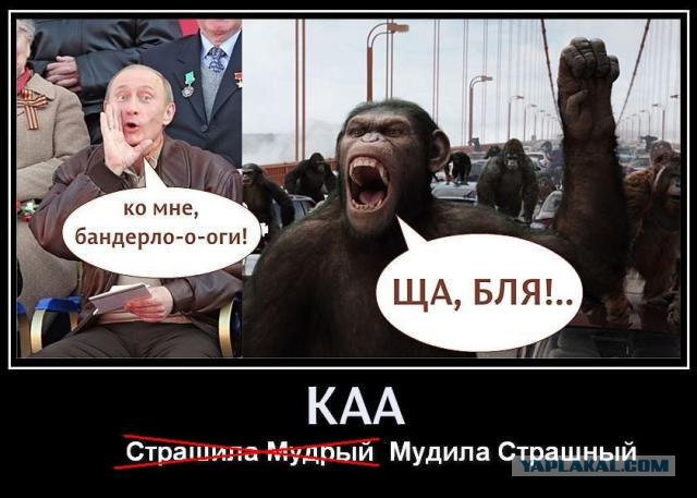 А король-то гопник..