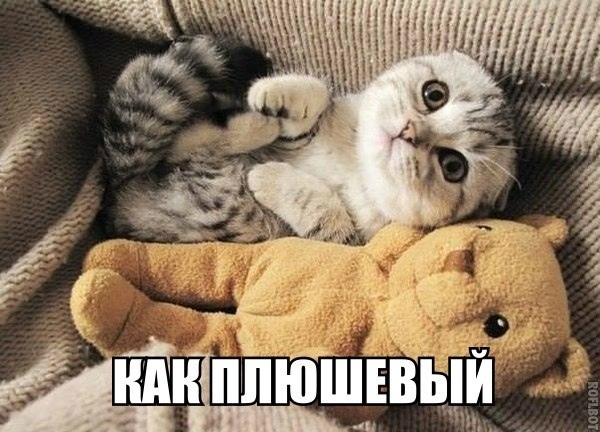 Так себе картинки 24.03.21