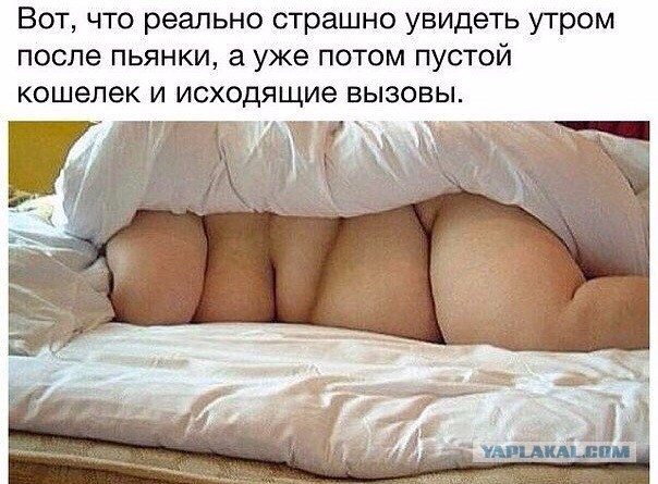 Весёлый полтишок 27.03