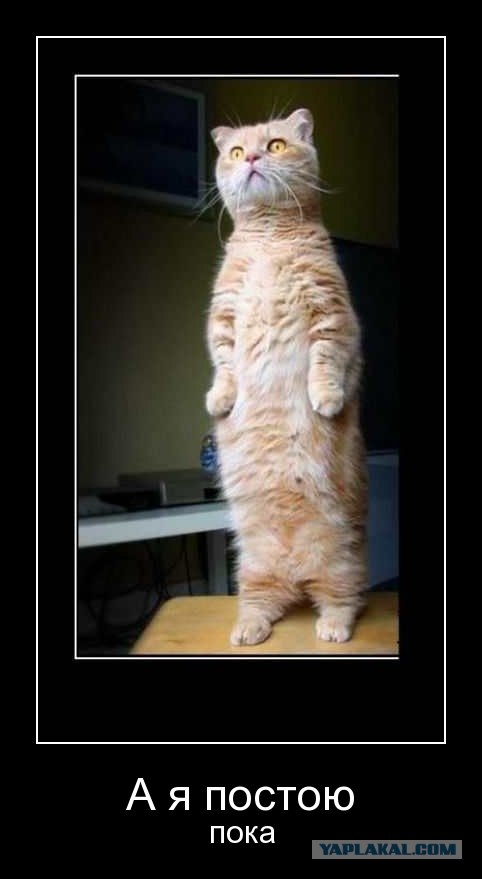 Я пожалуй тут посижу