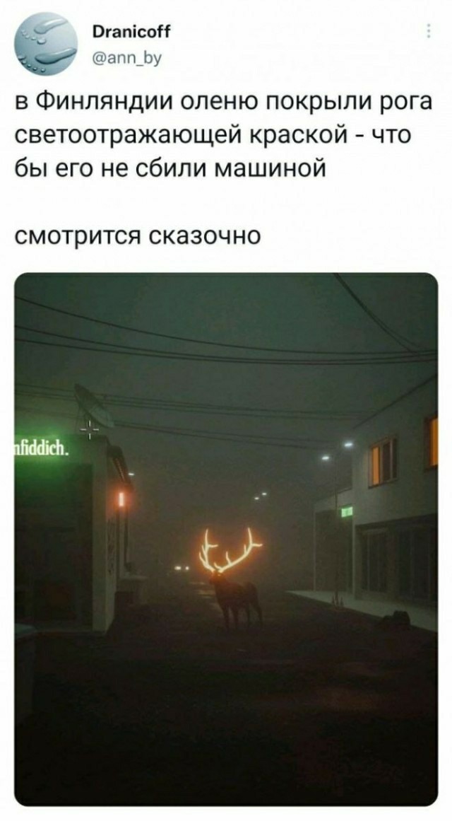 "Купил коту игрушку" и другие картинки