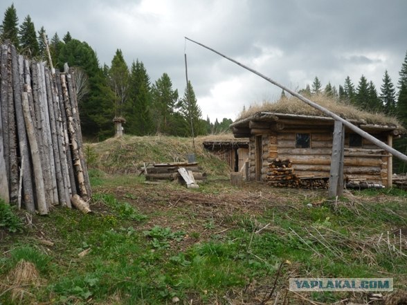 Лесное жилище