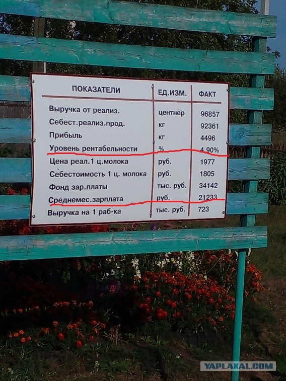 Россиян предупредили о возможном подорожании молочной продукции