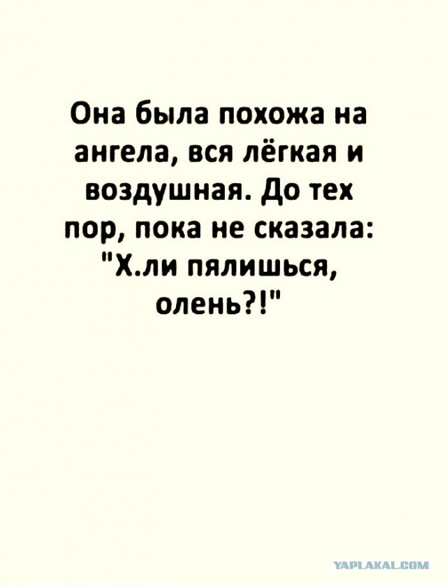 Так себе картинки 20.02.22