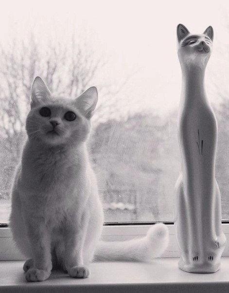 #9. Закрываем зиму