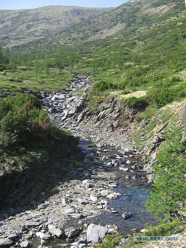 Реки, большие и маленькие