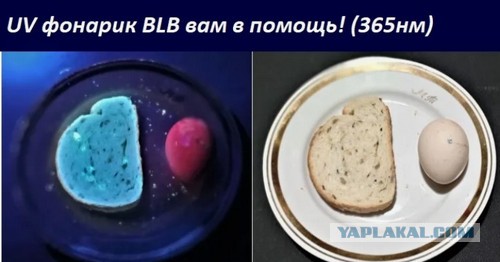 Доллары не приняли, обнаружили плесень. Попадалово на ровном месте