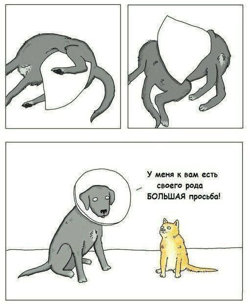 Никакие картинки