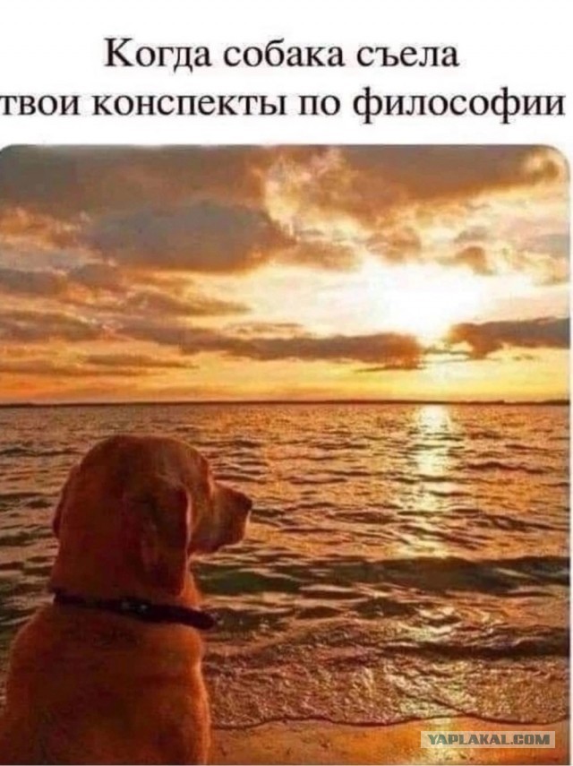 Так себе картинки 23.09.24