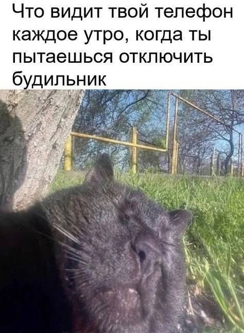 Посмеялся сам - поделись с другом!!!