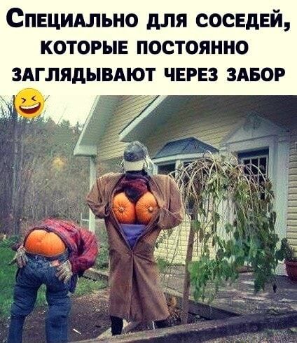 Немного забавных картинок от 13.02.2025
