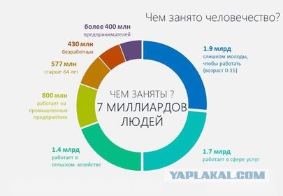 Немного бесполезной инфографики