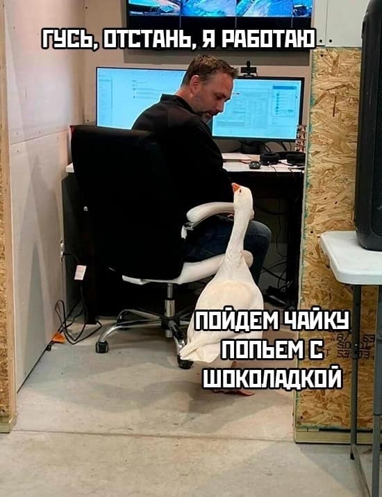 Так себе картинки 28.03.25