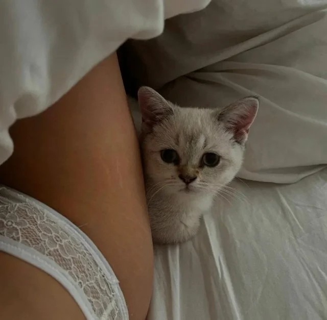 Прикольные и просто красивые картинки 18.11.2025