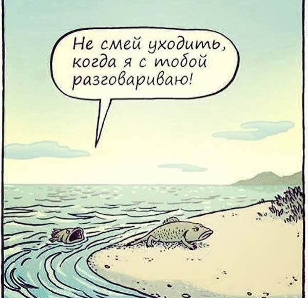 Вы тоже так всегда из воды выходите?