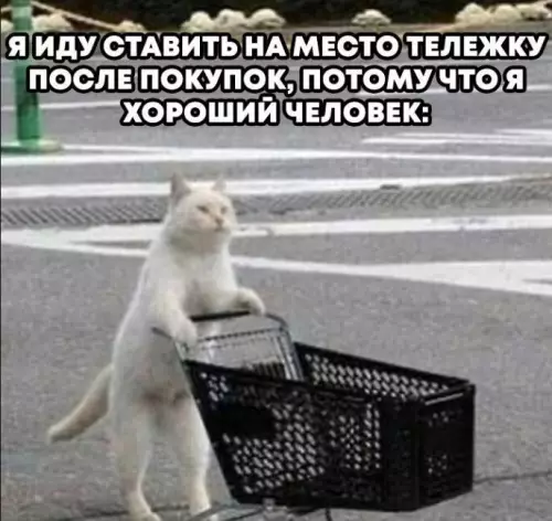 Картиночки, баянчики 21 февраля