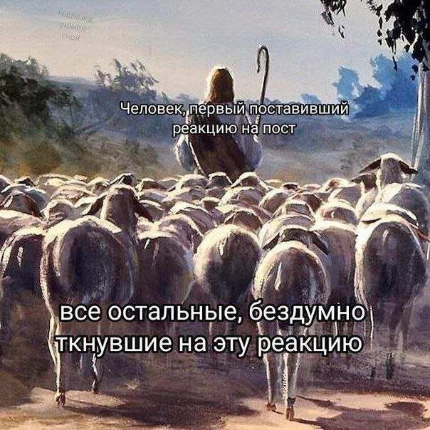 Картинки для деградации 204 (разной степени свежести)