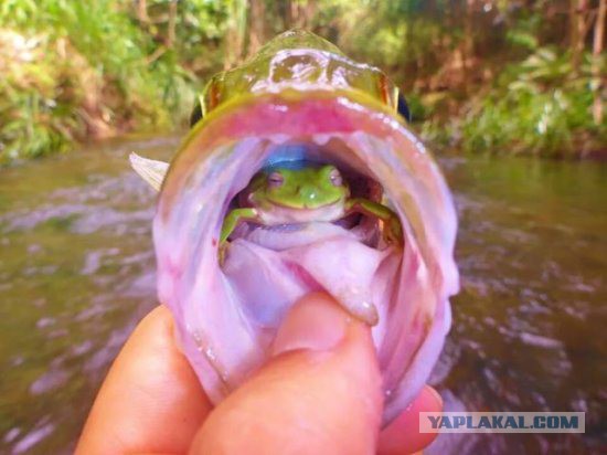 Подборка прикольных фото на начало мая