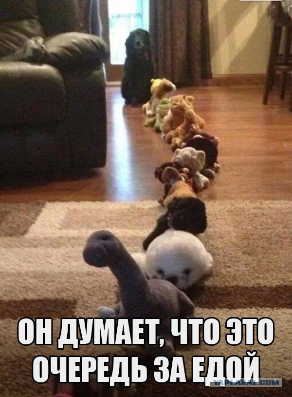Комменты из соцсетей