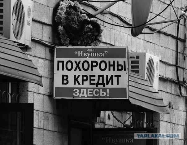 Я смотрю народ у нас слегка "опух", От хорошей жизни