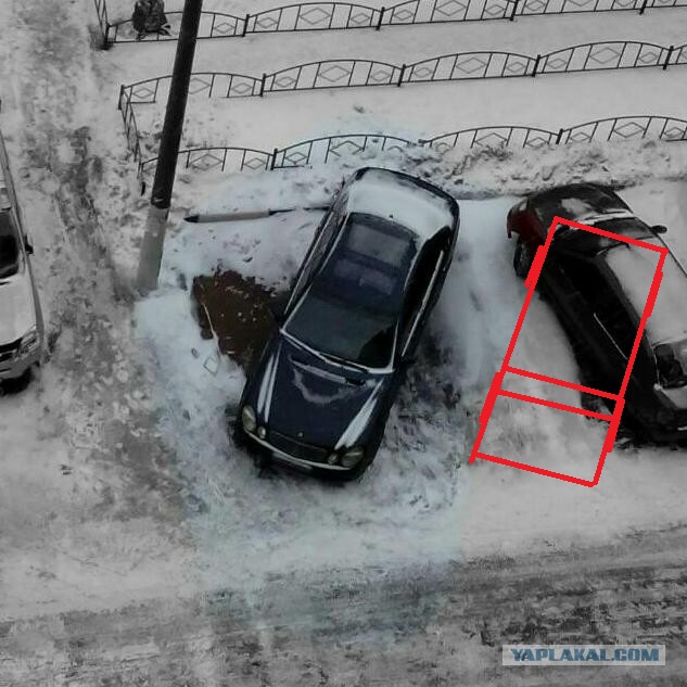 В нашем доме появился