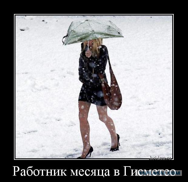 Картинки