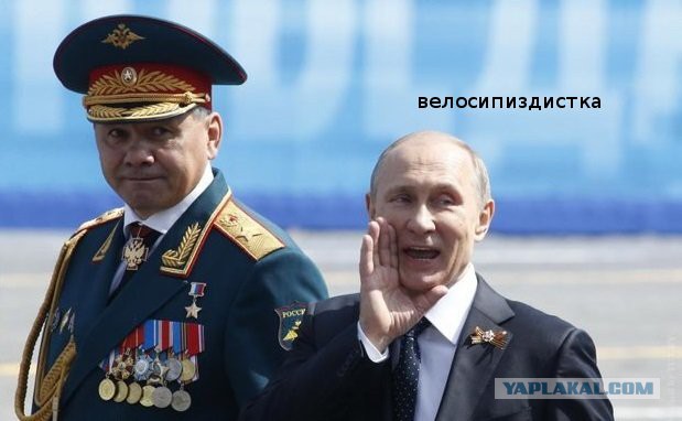 Волочкова на велосипеде врезалась в пальму
