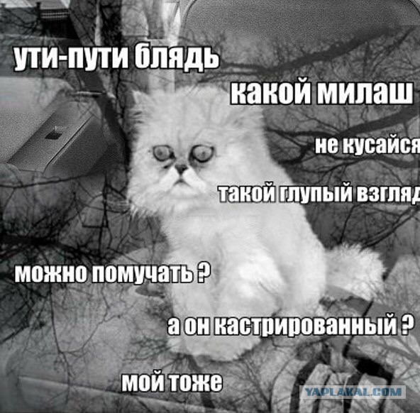 Депрессивный понедельник
