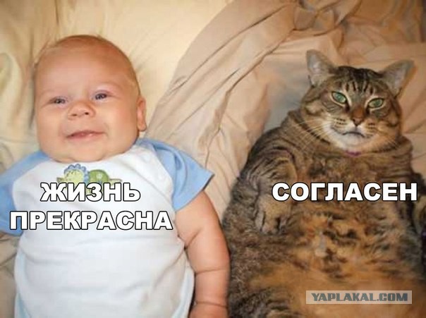 Картинки на пятницу