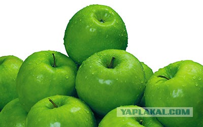 Может пора извиниться?